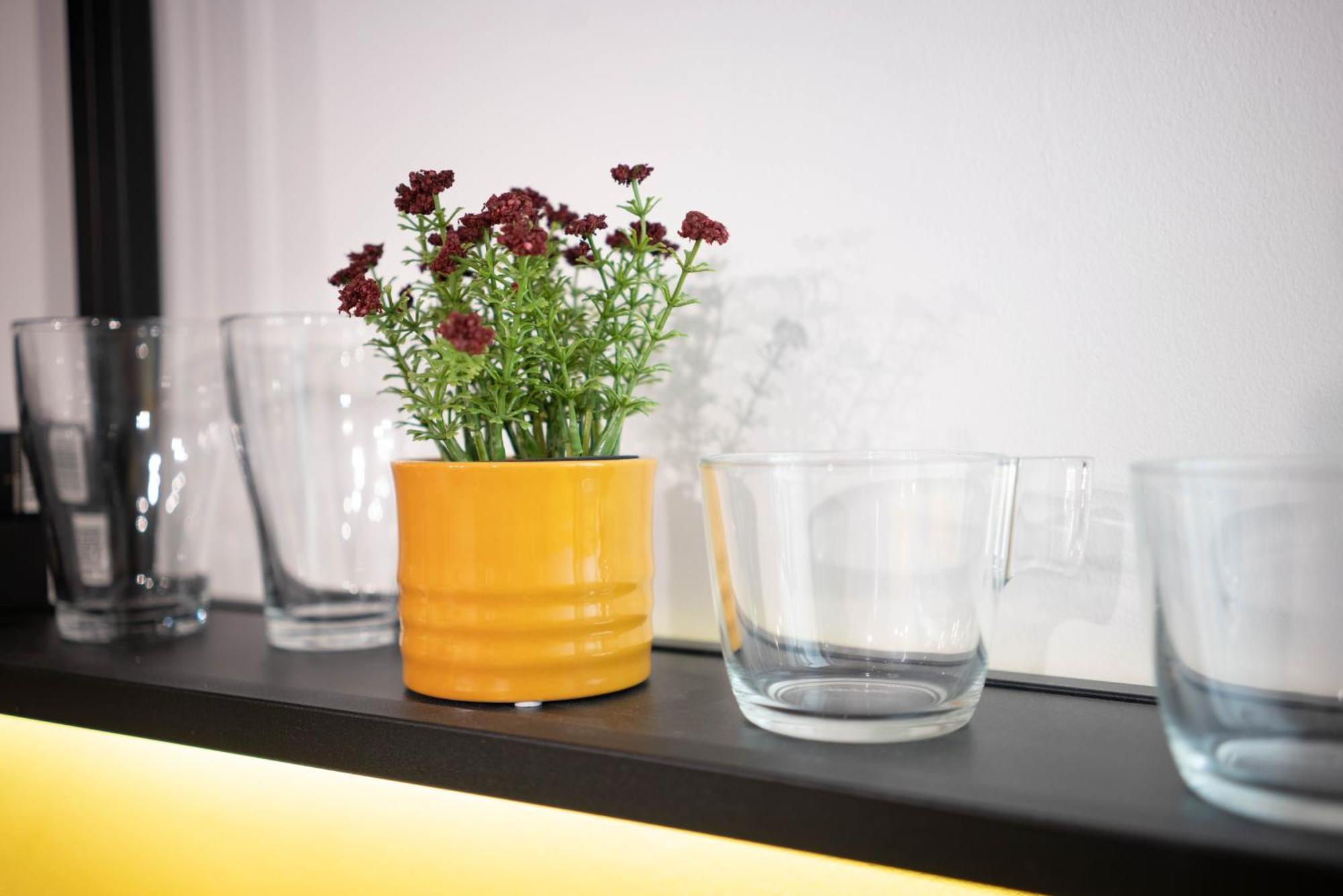 Apartament Corvin Palace For Two